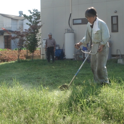 8月7日　芝生が長くなりすぎたので草刈り機で芝生を刈りました。