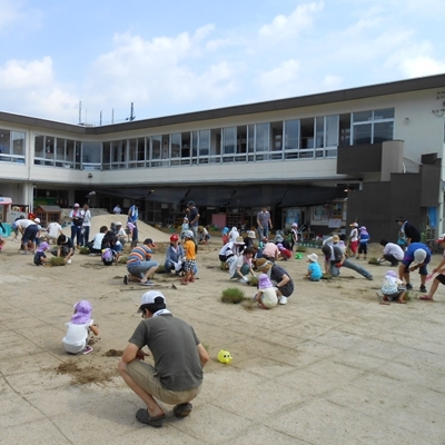 7月13日　園児と保護者で楽しい植え付けです。
