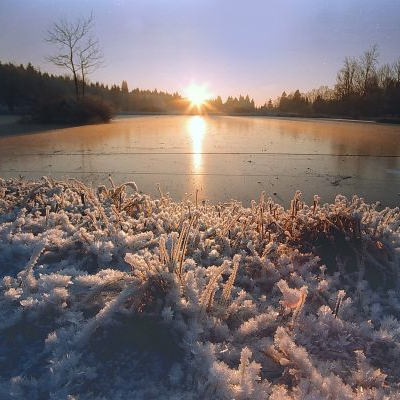 Der Kurteich im Winter