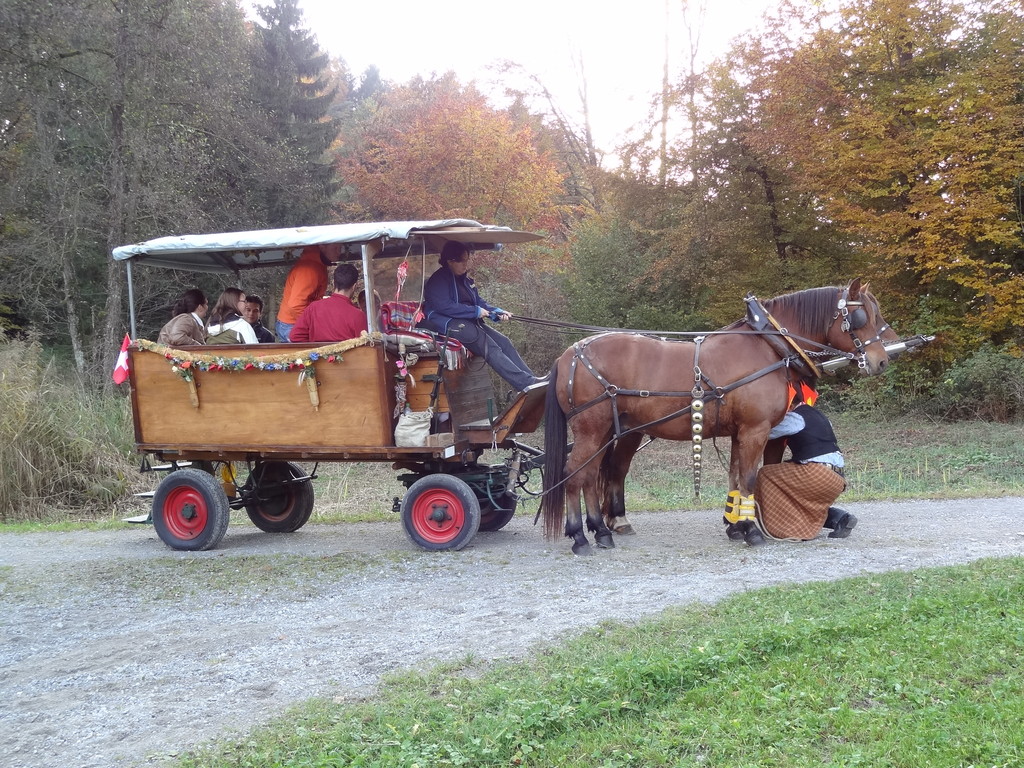 Dann streikten die Pferde...