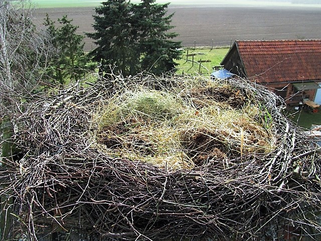 ... und mitHeu und Grassoden ausgepolstert