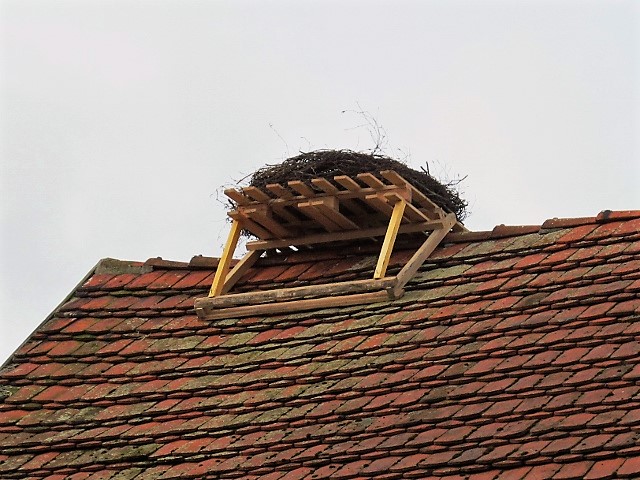 Ein komplett neues Nest erwartet die Rückkehrer
