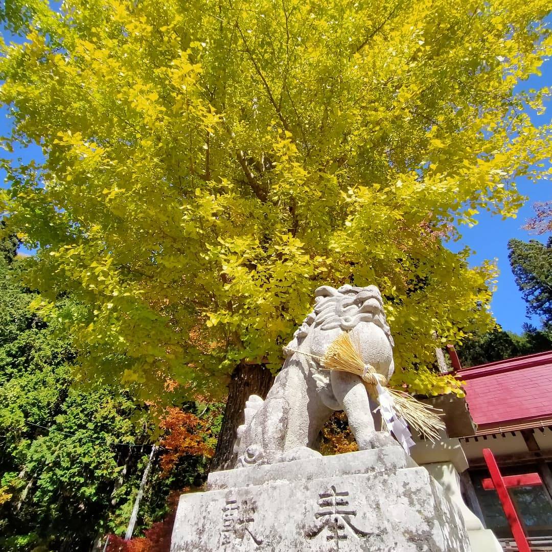 飛騨あさひ紅葉情報　金峰神社編