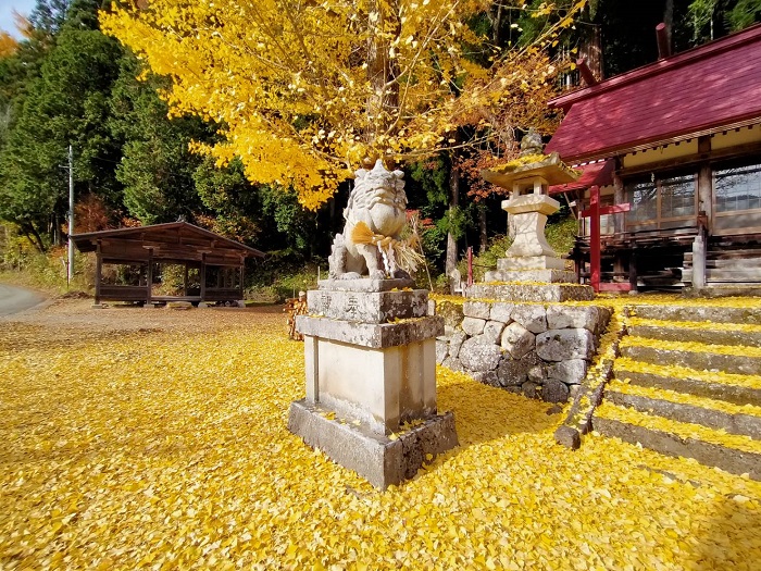 イチョウのじゅうたん 金峰神社 - 飛騨あさひ観光協会