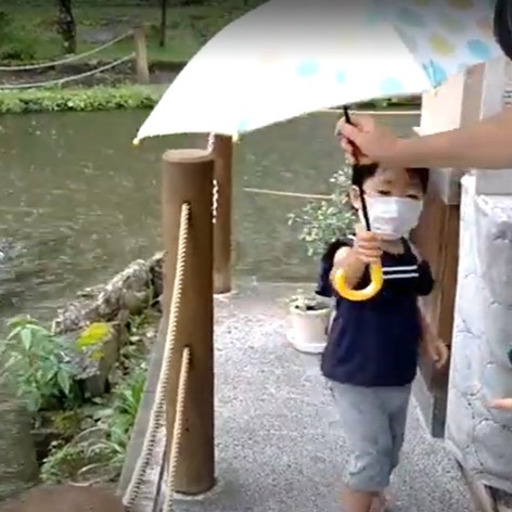 雨を楽しむとするか