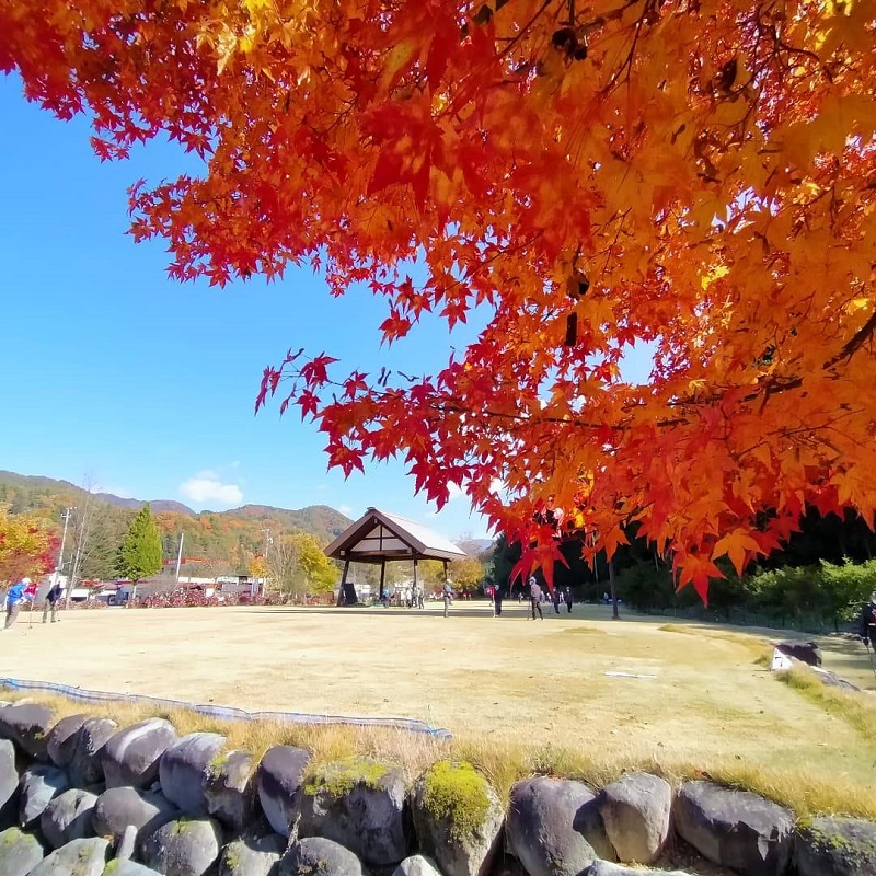 飛騨あさひ紅葉情報　道の駅編