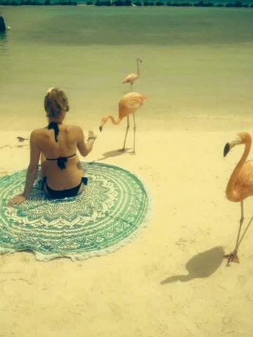 Vakantie Beach Roundie Aruba Flamingo
