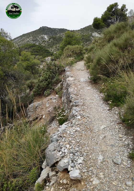 Hermosos senderos de mampostería durante la bajada por el barranco de las Covazuelas