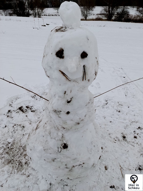 Frostige Gesellen