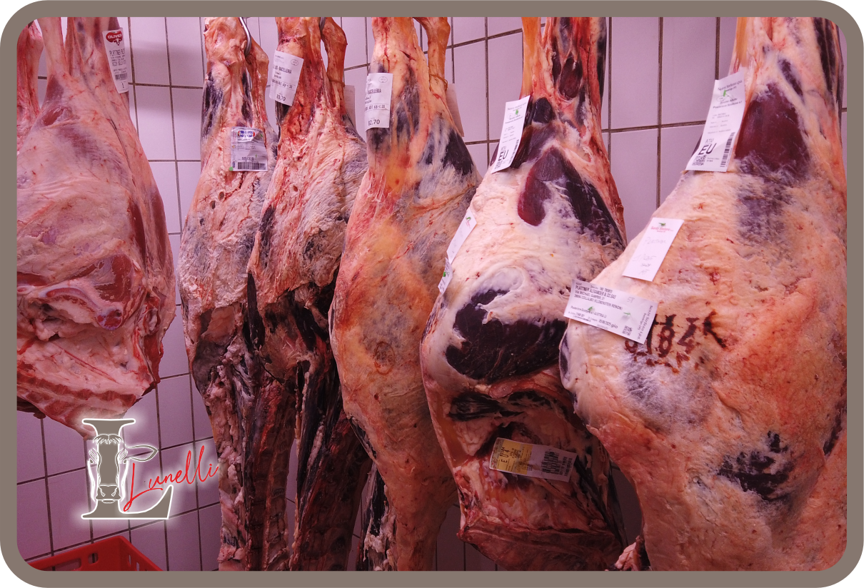 Macelleria Lunelli Metzgerei _Bolzano Bozen 