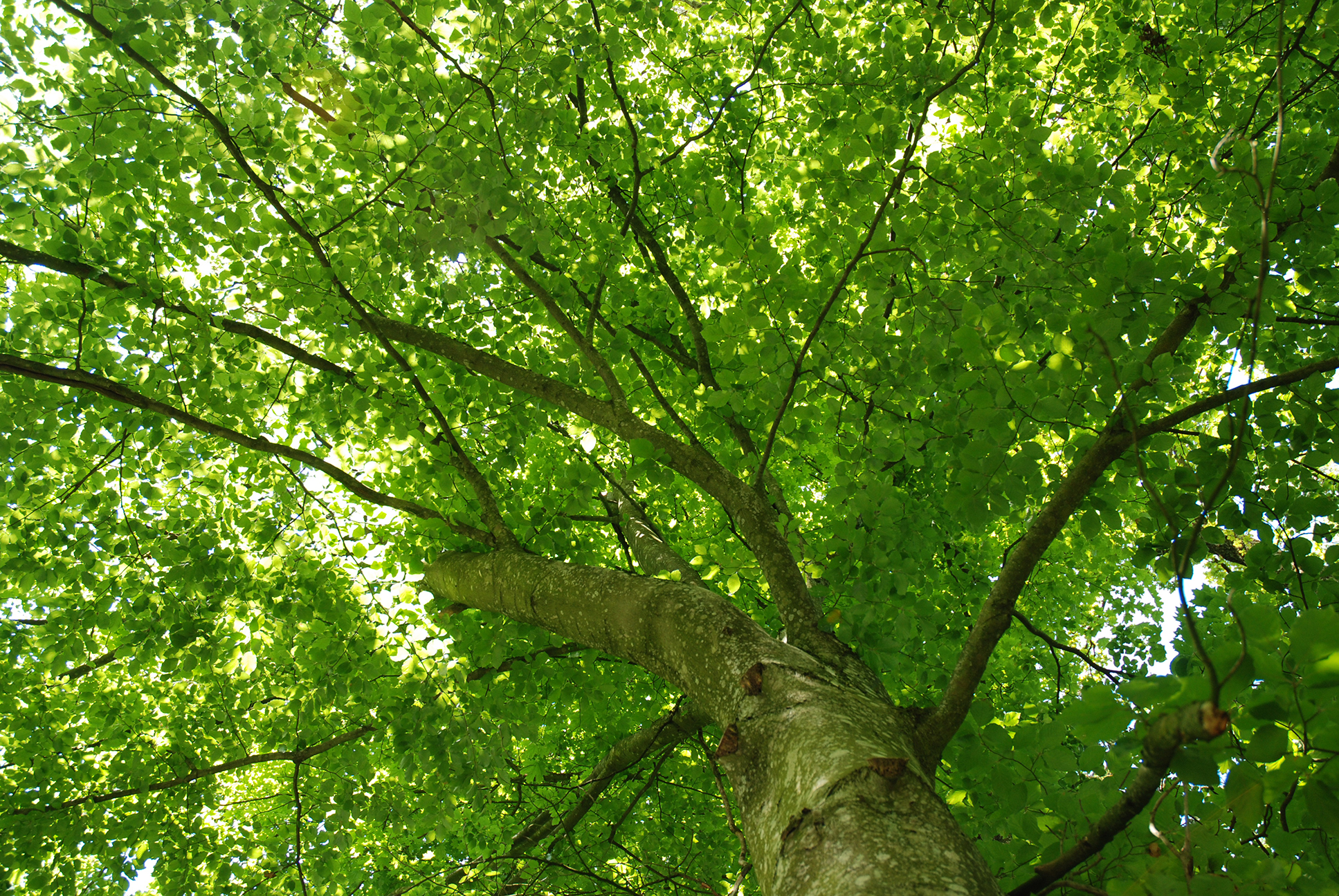 (c) Teamwerk-outdoor.at