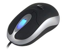 Maus