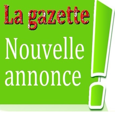 Vente CANAPE et FAUTEUIL (MAJ 22/10)