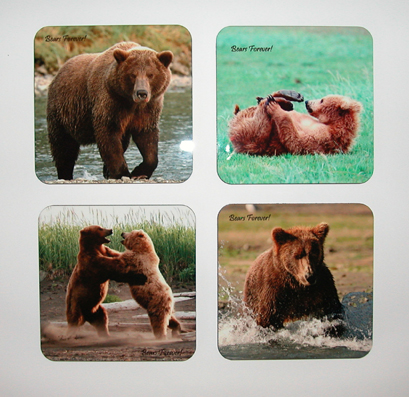 Brown Bear Coasters - Katmai National Park, Alaska