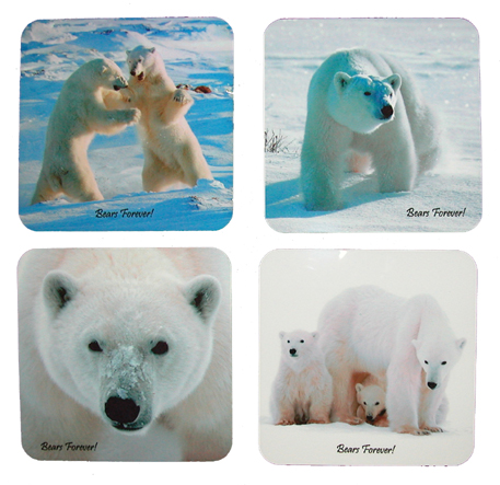 Polar Bear Coasters - Wapusk National Park, Manitoba, Canada