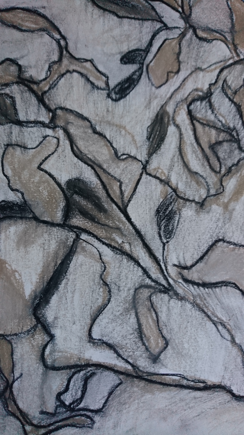 Végétal 19 - pastel sec sur papier A5 2022 