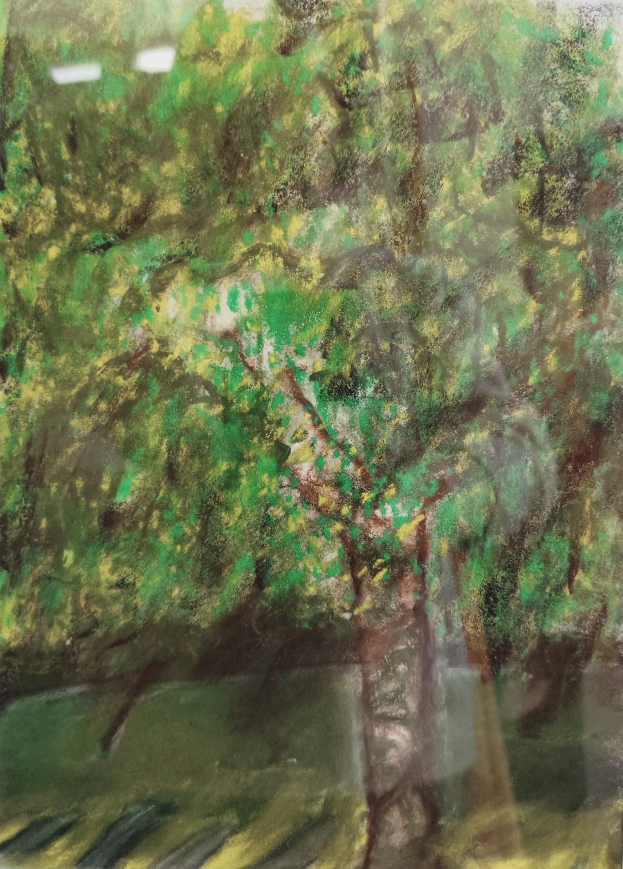 Arbre de Bretagne pastel sec  2024 24*30 cm 