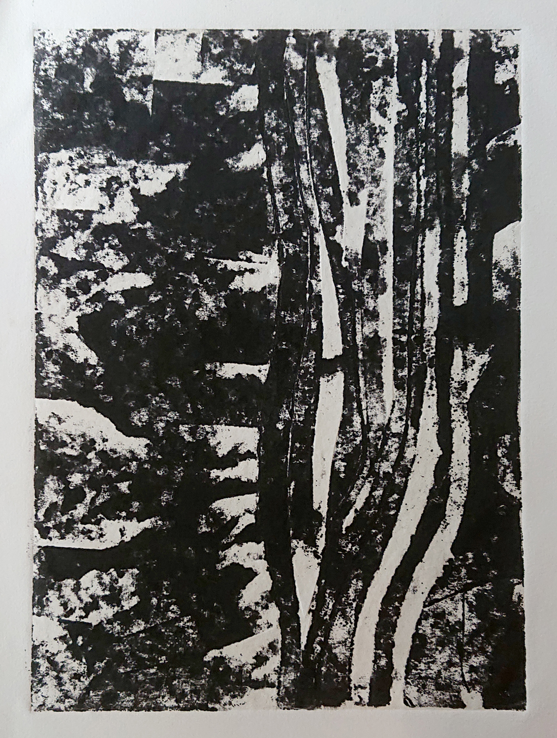 Algues 3 - cartongraphie 40x50 cm 2018 