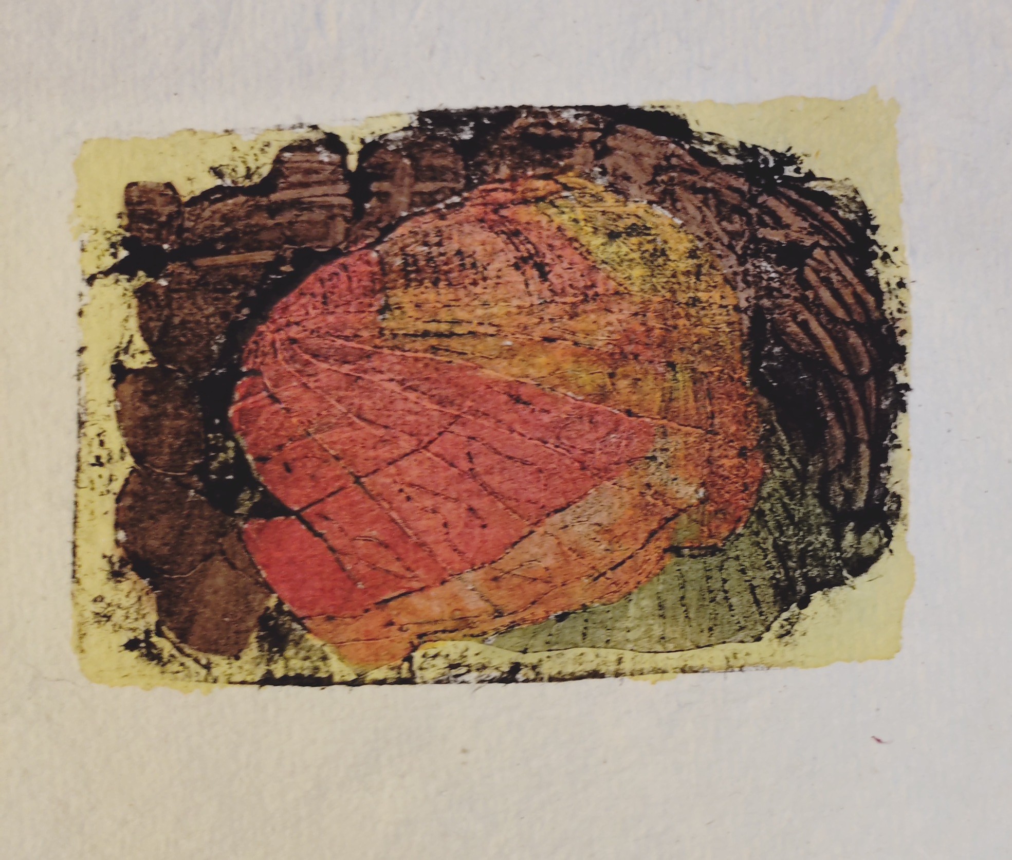Coquillage - gravure sur tetra pak rehaussée à l'encre -15x18 CM 2025