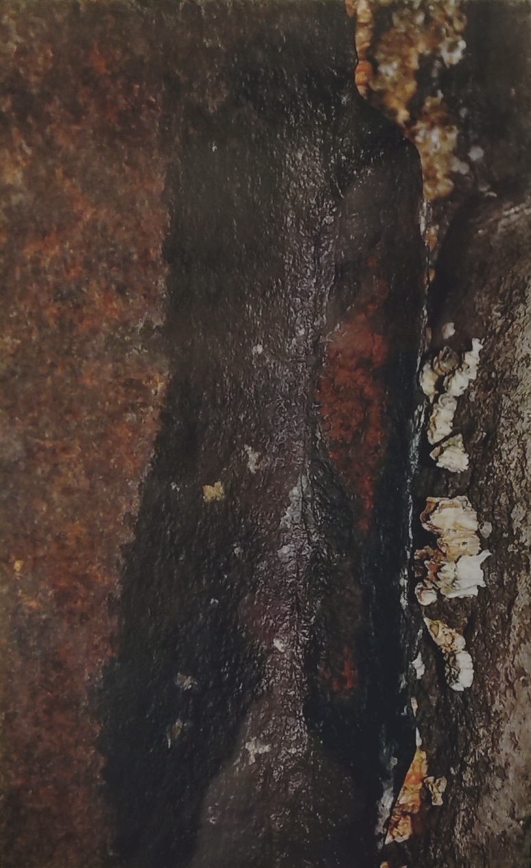 photo numérique 10x15 
