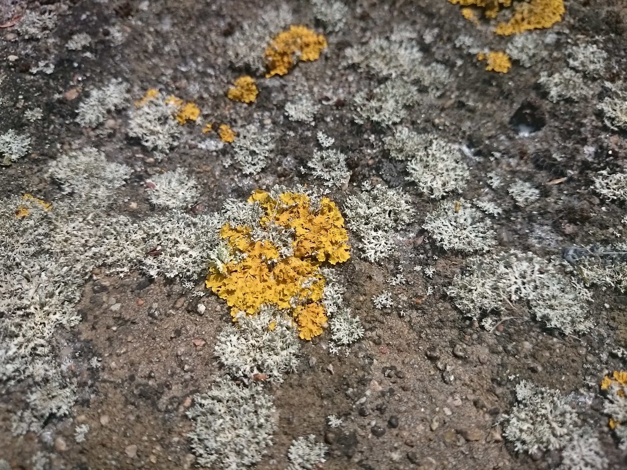 photo numérique 10x15 