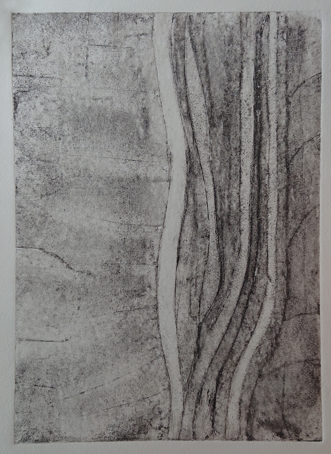 Algues 2 - cartongraphie 40x50 cm 2018 