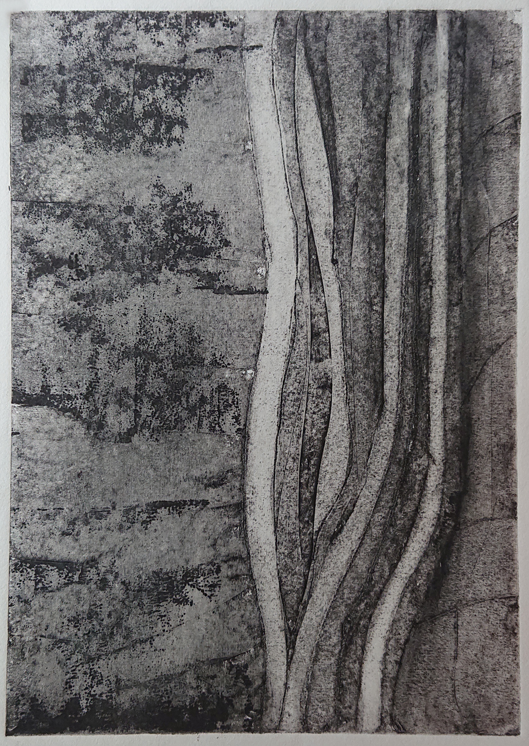 Algues 1 - cartongraphie 40x50 cm 2018 