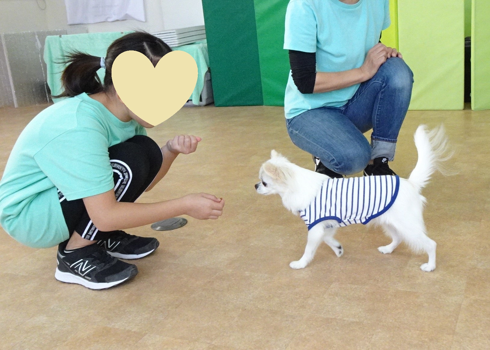 トレーナー見習いの小学生の女の子が来てくれました(^_-)-☆　　犬のしつけ教室＠アロハドギー