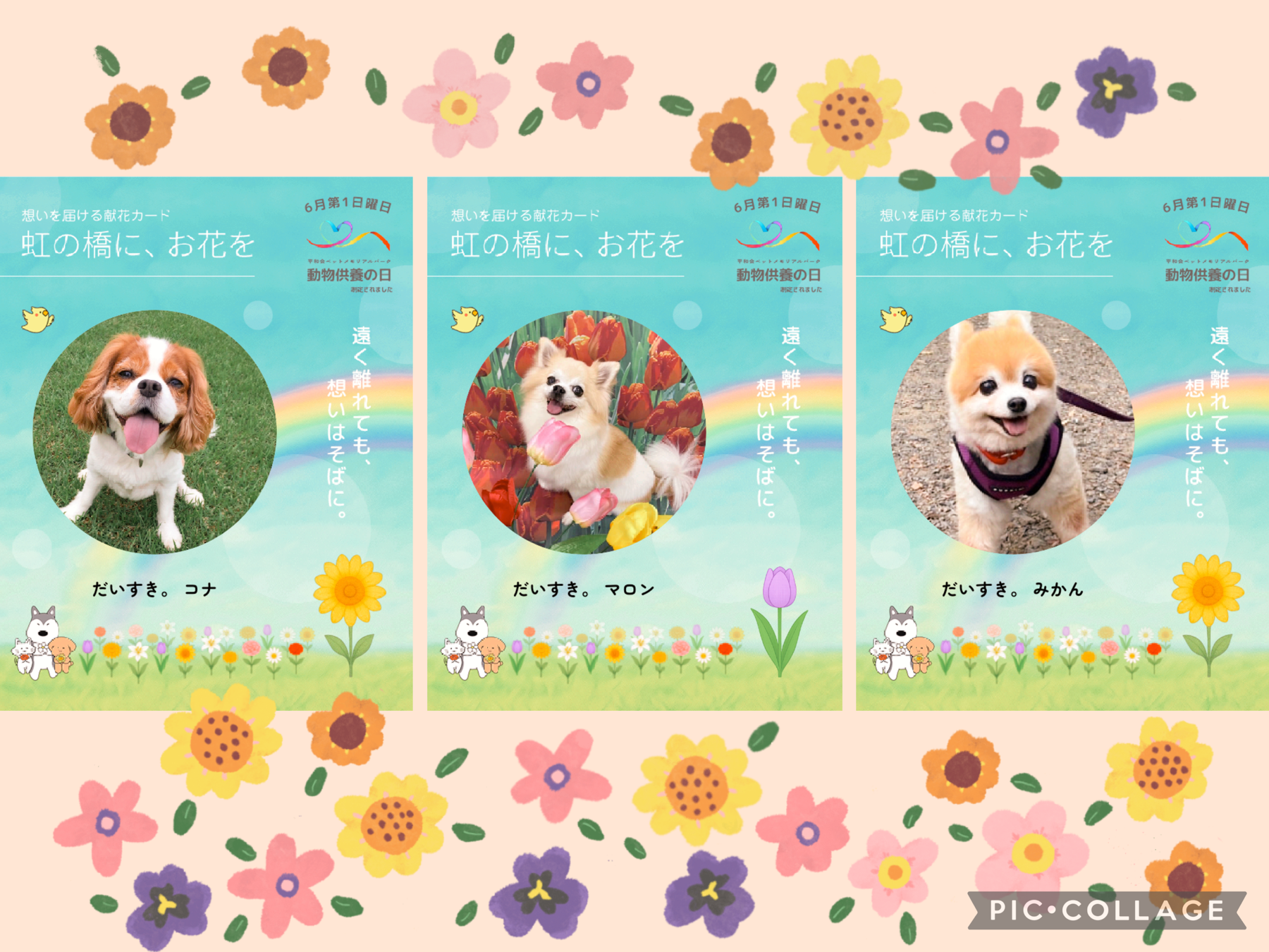 6月第一日曜日は【動物供養の日】　　犬のしつけ教室＠アロハドギー