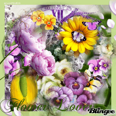Https Encrypted Tbn0 Gstatic Com Images Q Tbn 3aand9gcqit8n9nrdujwhovcu7itesqqe6yjtlaw2exw Usqp Cau