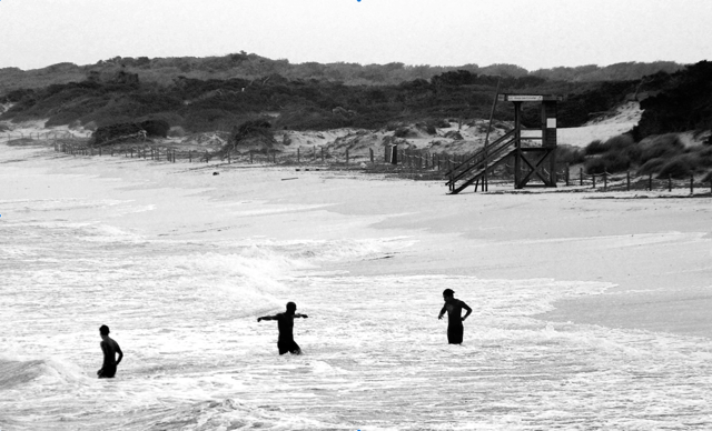 Swimming B&W