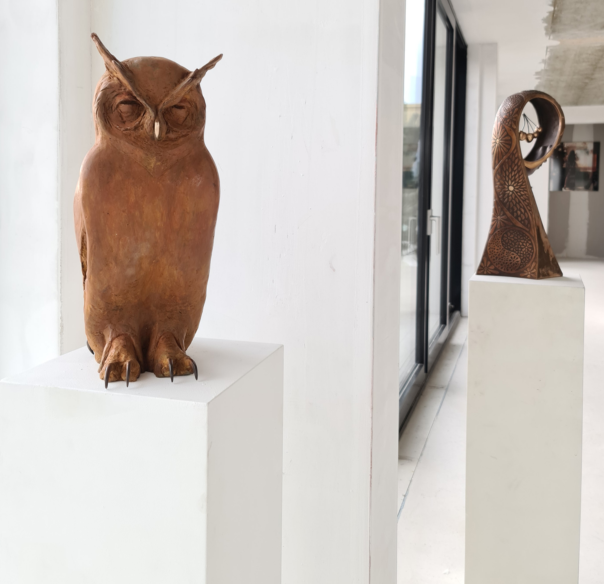 Timoer, 65 cm