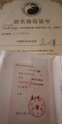 Zertifikat u. Ausweis 4. u. 5. Duan, bestanden 2011-2013