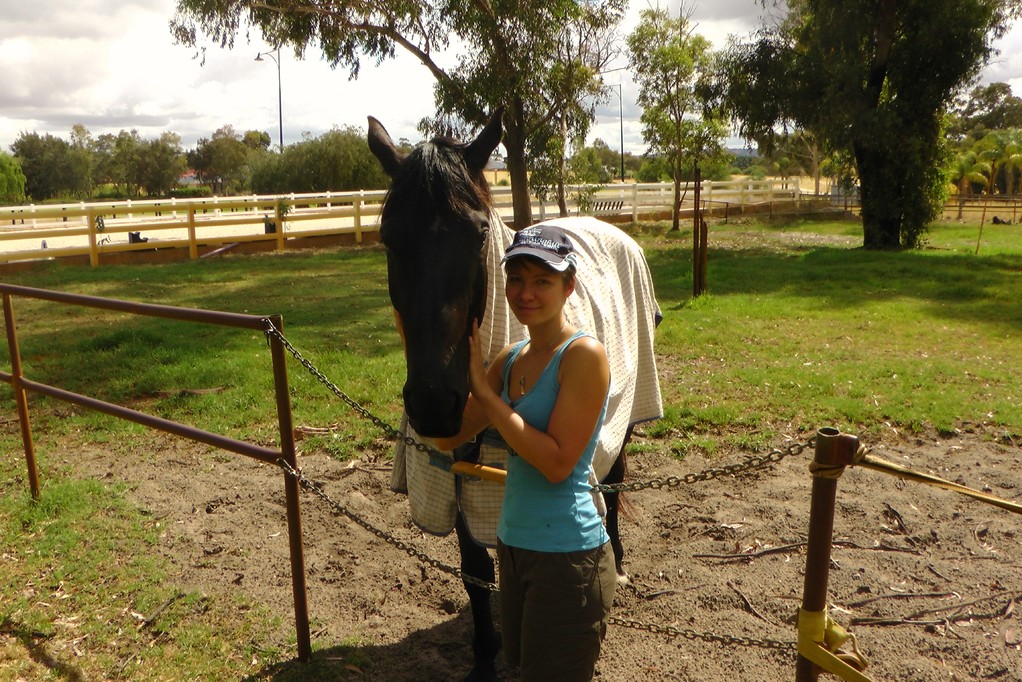 Jess ist hier das groesste und juengste Pferd mit 3 Jahren.