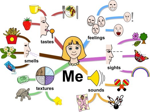 глаголы feel smell taste sound. наречия в английском языке на w. 5 senses activity. Feel taste. See на английском.