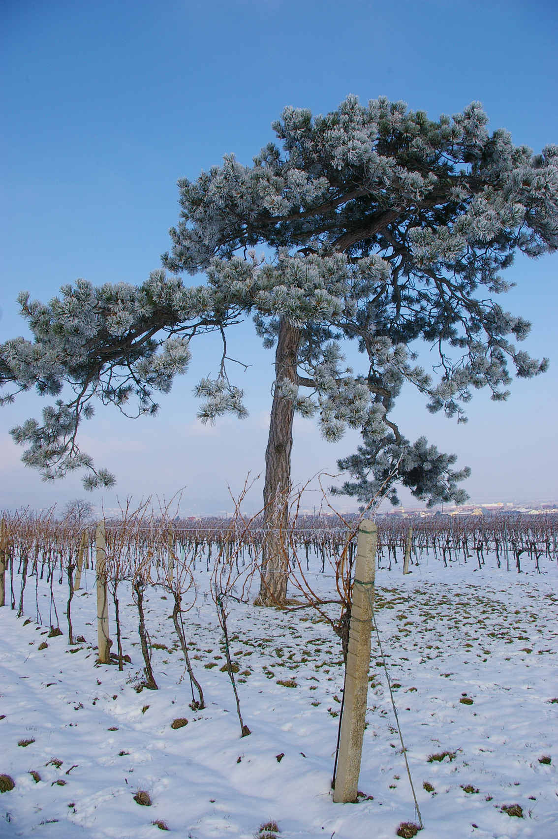 ...aber auch im Winter lässt es sich gut leben...