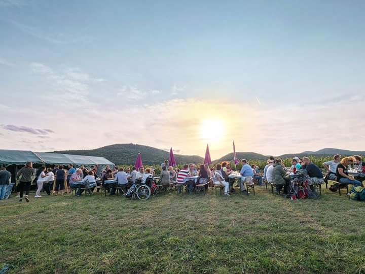 Impressionen der letzten Jahre