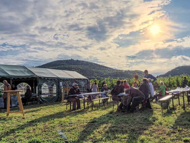 Impressionen der letzten Jahre