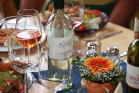 Sommer in Thermenregion, Spaziergang, Picknick, Dirndl, Jause, Wein, Heurigen, Thermenregion, Weingarten