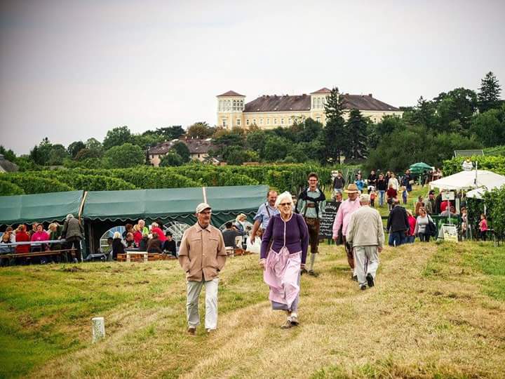 Impressionen der letzten Jahre