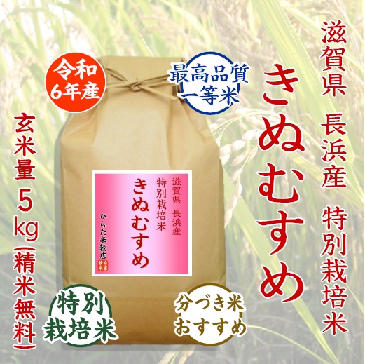 特別栽培きぬむすめ - ひらた米穀店|東大阪で玄米から精米する5 特別栽培きぬむすめ - ひらた米穀店|東大阪で玄米から精米する5