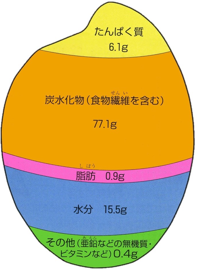 お米は太りにくい！～お米の成分について～
