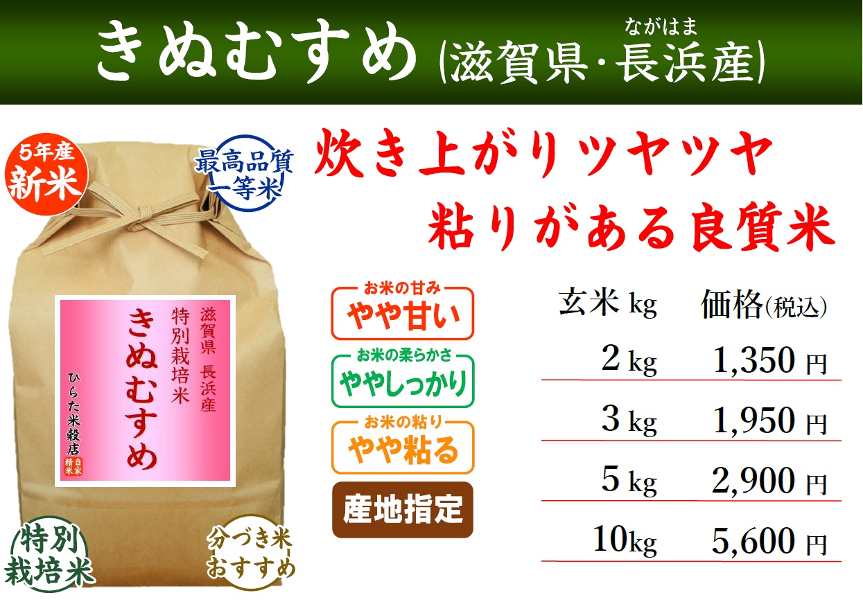 兵庫県産きぬむすめ玄米10キロ送料精米無料 - 米