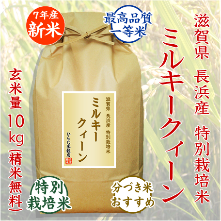 ミルキークィーン - ひらた米穀店｜東大阪で玄米から精米する5つ星お米