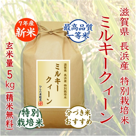 ミルキークィーン - ひらた米穀店｜東大阪で玄米から精米する5つ星お米