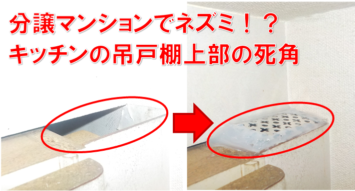 【柏市・分譲マンション】「高層階なのに、なぜネズミが！？」リフォーム後に潜む盲点とパイプスペースの隙間をダスキンが徹底追跡！
