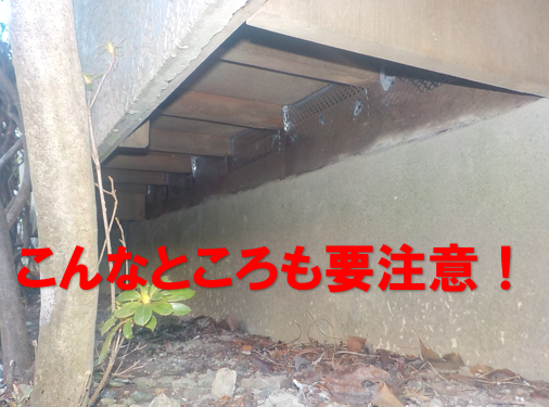 ネズミ駆除　ふかし壁　オーバーハング