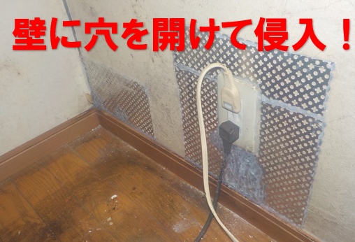 ネズミ駆除　壁に穴を開けて侵入