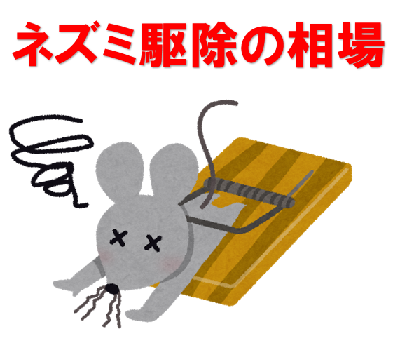 【2026年最新】柏・松戸のネズミ駆除相場｜「基本料金33,000円＋積み上げ方式」で失敗しない適正価格の選び方