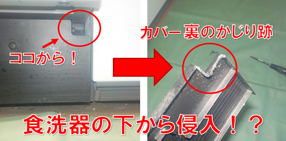 【柏市名戸ヶ谷】「朝起きるのが嫌になる…」カレンダーの広告から繋がったご縁。食洗器下の死角を封鎖し、平穏な朝を取り戻す！